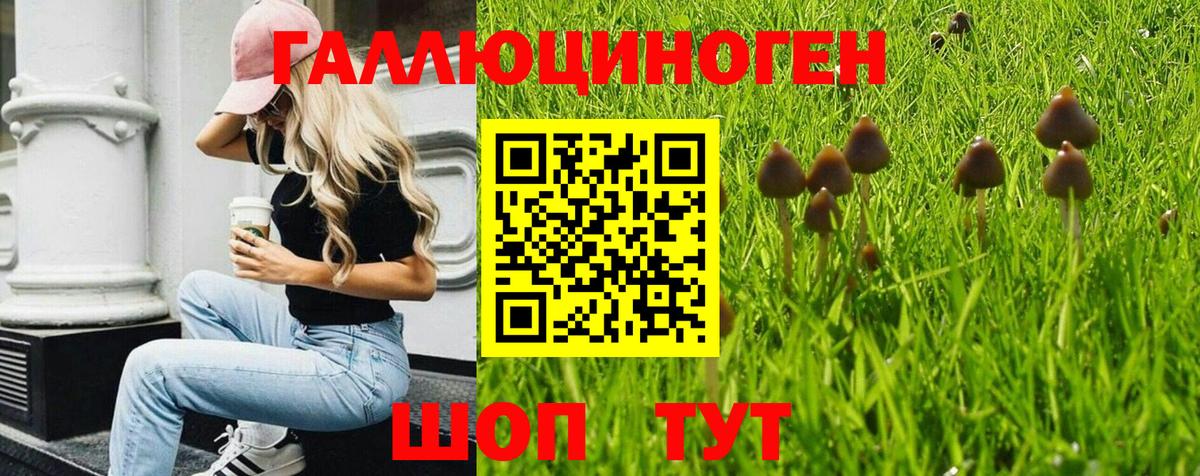 Галлюциногенные грибы Psilocybe  как найти   Вход с VPN  Кемерово  Псилоцибиновые грибы Psilocybe 